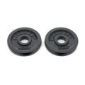 Spray Painting 31 / 29.5 / 26.5mm Dumbbell Peso Placas